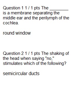 Lecture Quiz 5